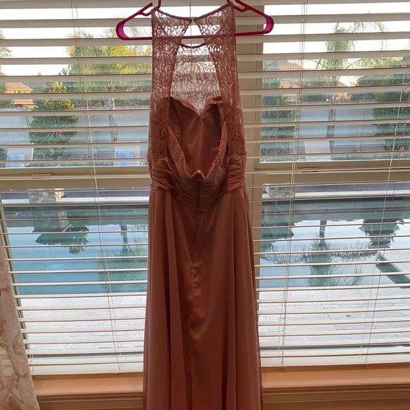 Blush Lace and Chiffon Gown - Picture 3 of 5